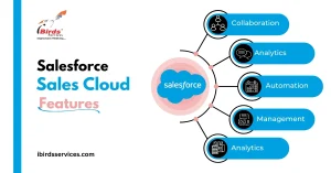 Salesforce Sales Cloud Features