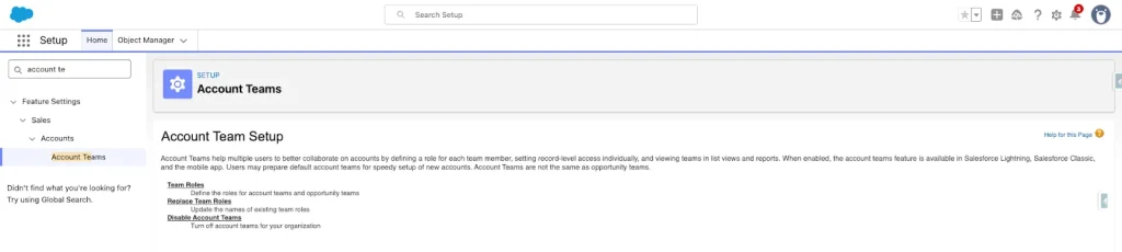 What Is Customize Application Permission in Salesforce? Guide 5 Account Team Setup (Salesforce Developer Org)